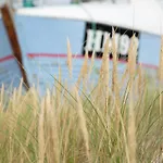 Ronnes