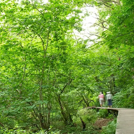 Ronnes Ξενοδοχείο