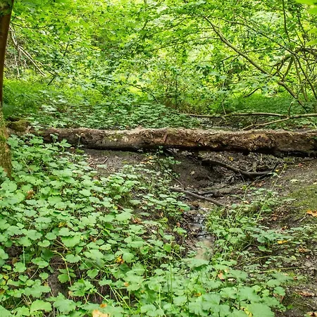 Hotel Ronnes Fjerritslev