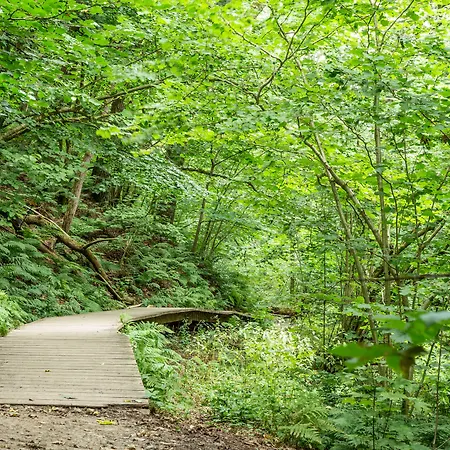 Ronnes 3* Fjerritslev