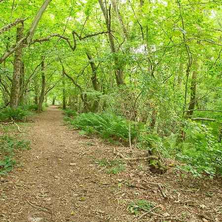 Ronnes Hotel Fjerritslev