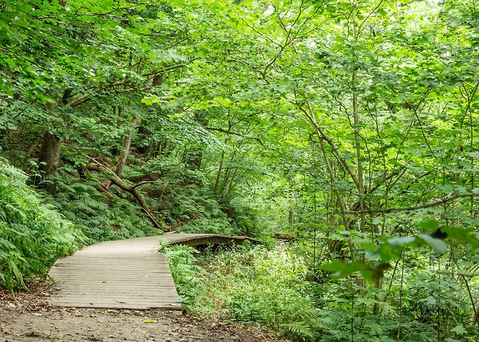 Ronnes 3* Fjerritslev