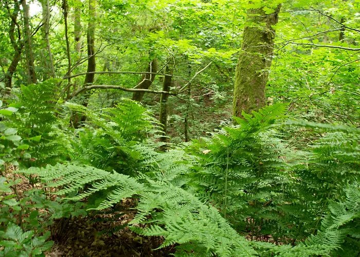 Ronnes Отель 3*