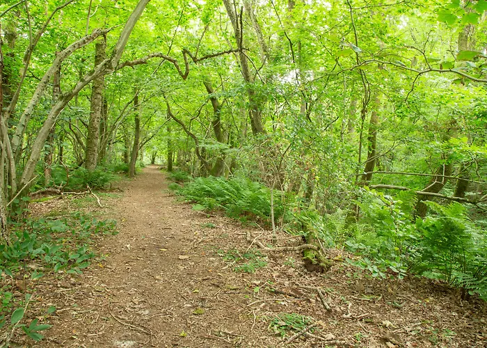 Ronnes Hotell Fjerritslev